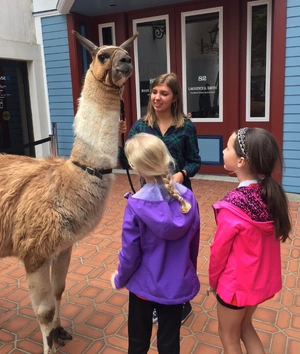 Llama — ranked #12