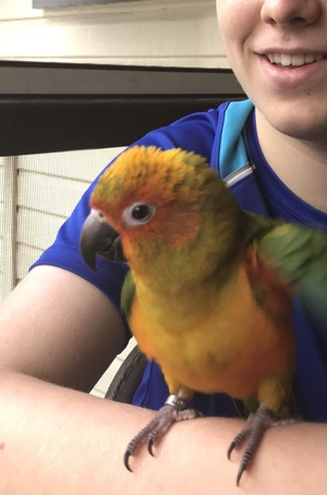 Parrot — ranked #9