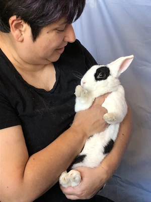 Rabbit — ranked #5