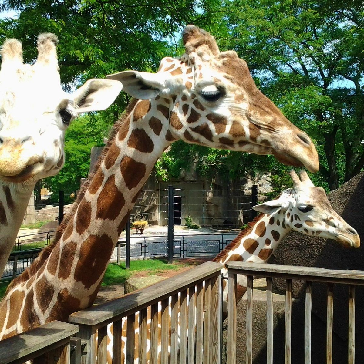 Milwaukee County Zoo — ranked #9
