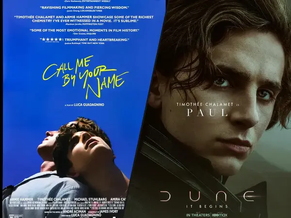 What is the best Timothée Chalamet movie role?