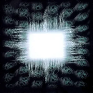 Aenima — ranked #2