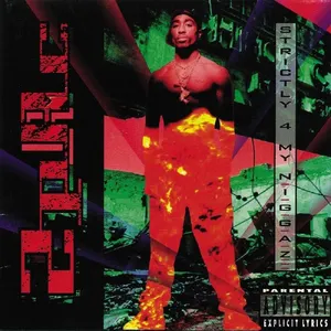 Strictly 4 My N.I.G.G.A.Z. — ranked #4