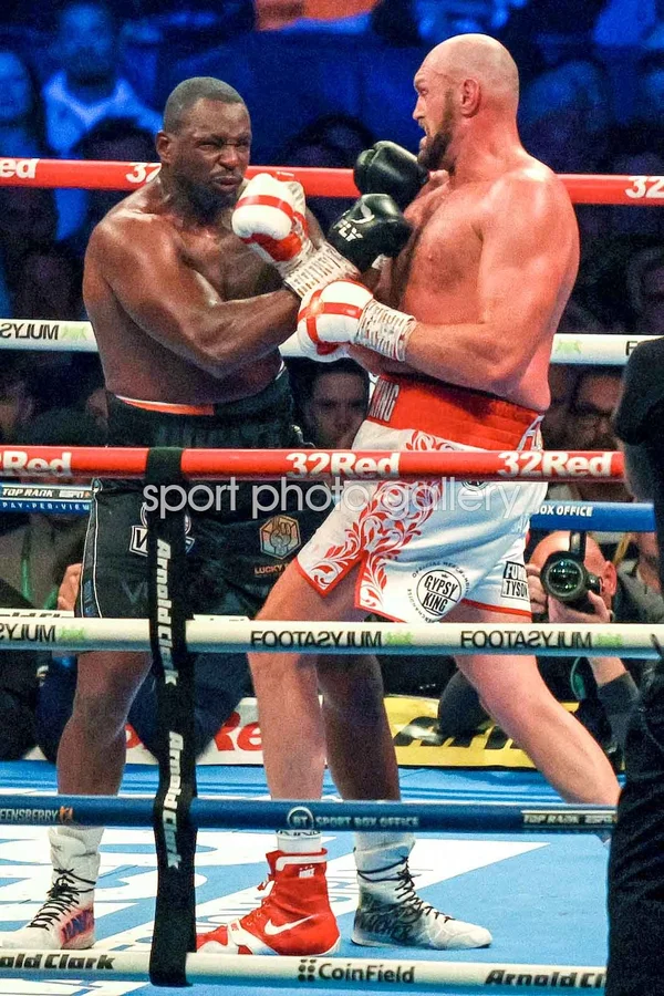 Fury vs Whyte 2022 - ranking option ranked #6