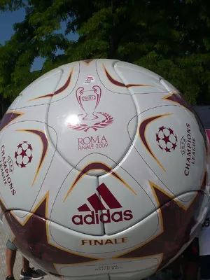 Finale Rome (2008-09) — ranked #6