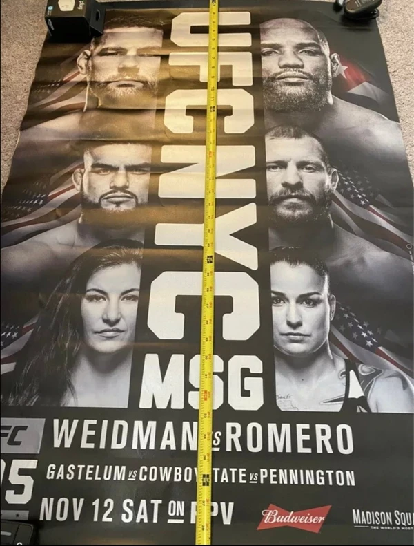 UFC 205 - ranking option ranked #4