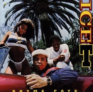 Ice-T – Rhyme Pays — ranked #10