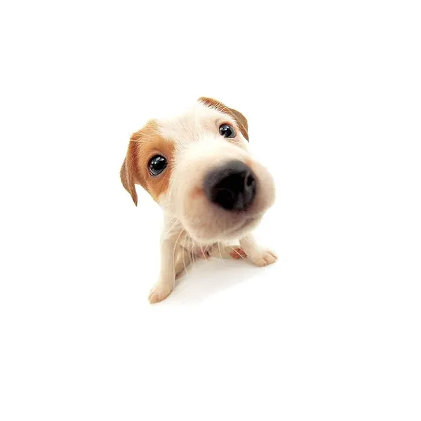 Back Home - ranking option ranked #8