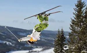 Freestyle Skiing Moguls — ranked #14