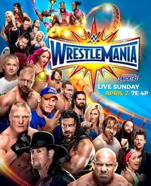 WrestleMania 33 — ranked #13
