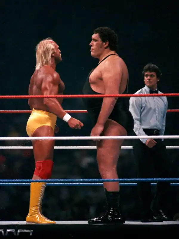 Hulk Hogan vs Andre the Giant (WM III) - ranking option ranked #2