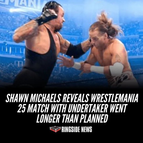 Undertaker vs Shawn Michaels (WM XXV) - ranking option ranked #8