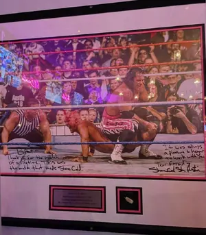 Bret Hart vs Steve Austin (WM 13) — ranked #2