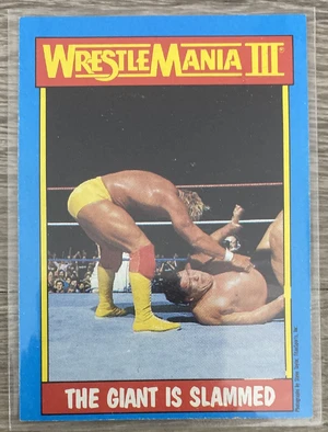 Hulk Hogan vs André the Giant (WM III) — ranked #12