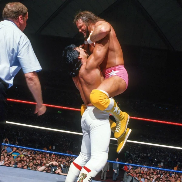 Ricky Steamboat vs Randy Savage (WM III) - ranking option ranked #7