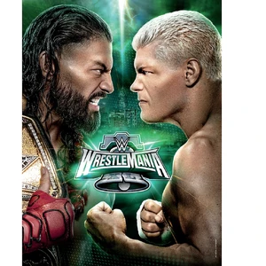 Rhodes vs Reigns (WM 40) — ranked #3