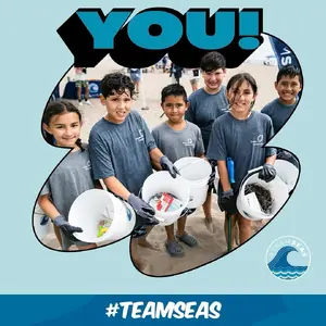 #TeamSeas — ranked #5