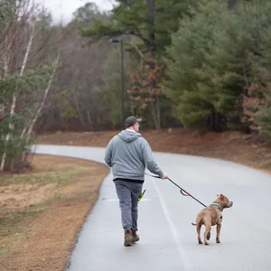 Dog — ranked #2
