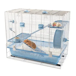 Hamster — ranked #10