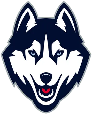 UConn Huskies — ranked #6