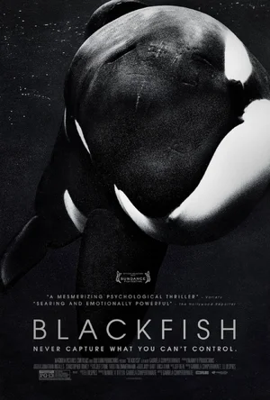 Blackfish — ranked #24