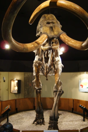 La Brea Tar Pits — ranked #7