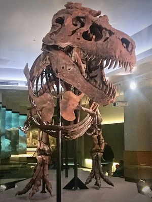 SUE the T. rex — ranked #8