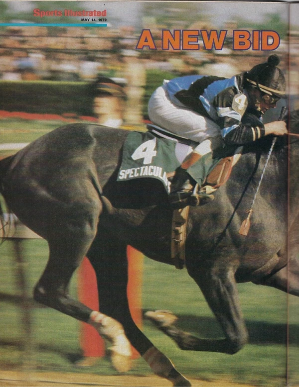 Spectacular Bid - ranking option ranked #5