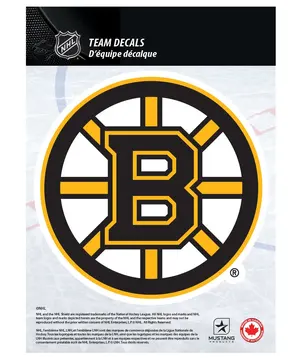 Boston Bruins — ranked #4