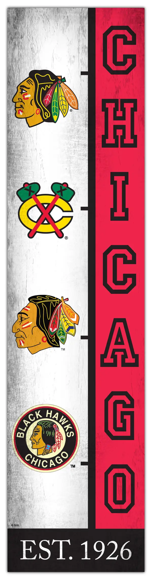 Chicago Blackhawks - ranking option ranked #5