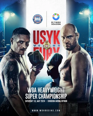 Usyk vs Fury I (2024) — ranked #6