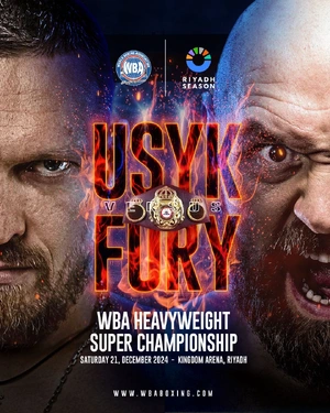 Usyk vs Fury II (2024) — ranked #7