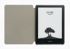 Amazon Kindle launch (2007) — ranked #12