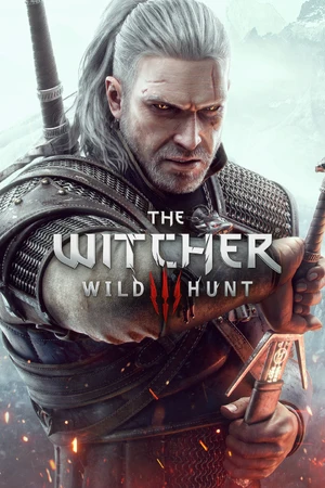 The Witcher 3: Wild Hunt — ranked #8