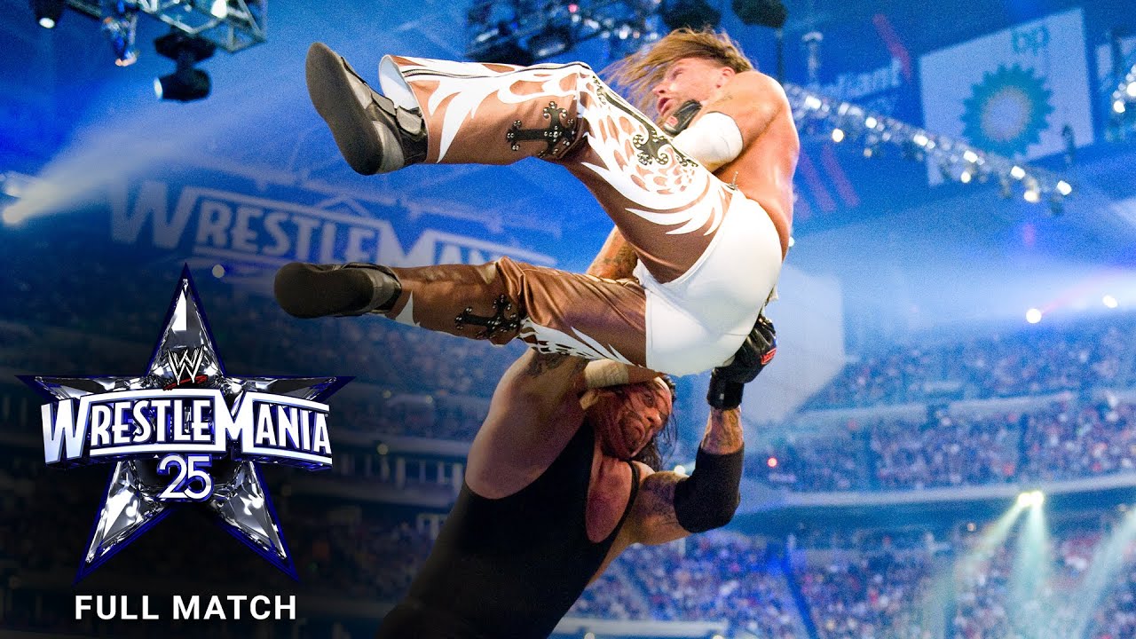Shawn Michaels vs. Undertaker – WrestleMania 25