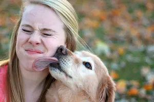 Dog — ranked #1