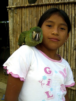 Parrot — ranked #6