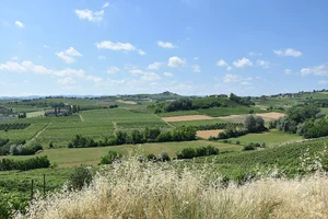 Piedmont — ranked #18