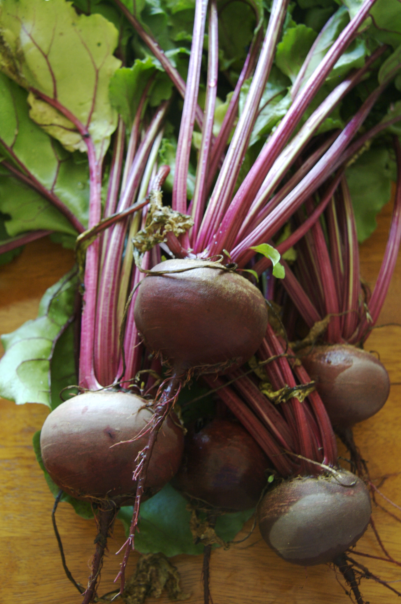 Beetroot — ranked #4