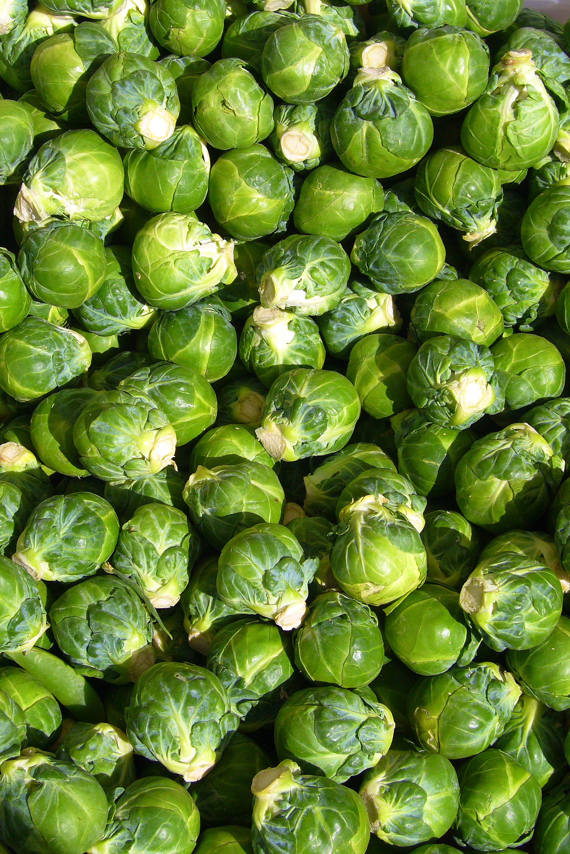 Brussels sprouts — ranked #5