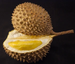 Durian — What is the most divisive food?