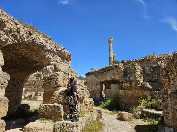 Carthage - ranking option ranked #12