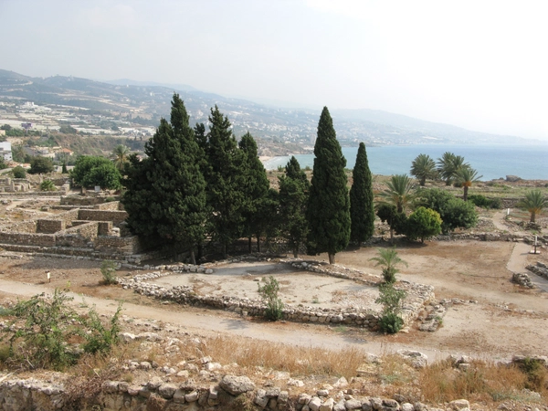 Phoenicia - ranking option ranked #11