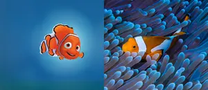Nemo — ranked #8