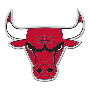 Chicago Bulls — ranked #10