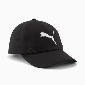 Puma cat — ranked #12