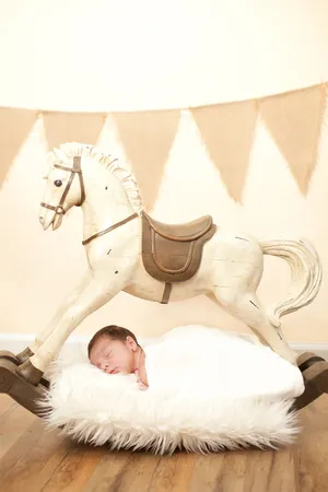 Rocking horse — ranked #10