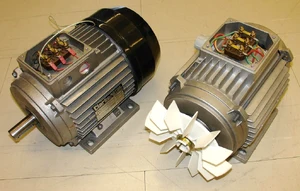 The AC induction motor — ranked #9