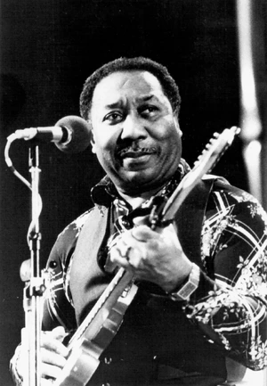 The Best of Muddy Waters — ranked #2