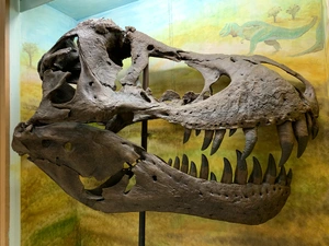 Stan the T. rex — ranked #7